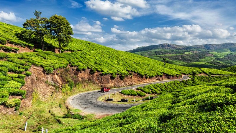 A road through the tea plantations in India