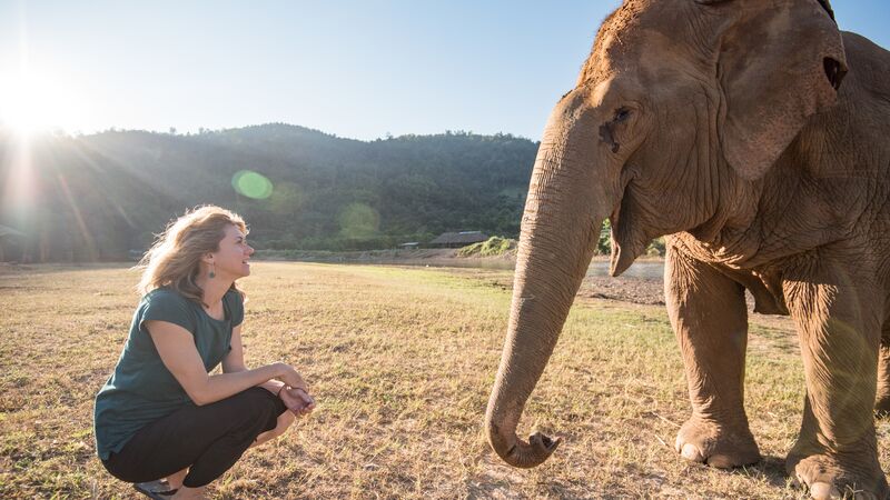 A woman crouching in front of an elephant in Thailand