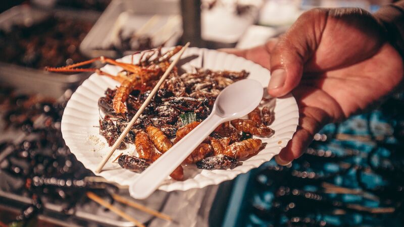 A plate of fried insects in Thailand