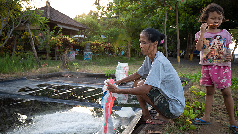 Salt farming in Les Village, Bali.