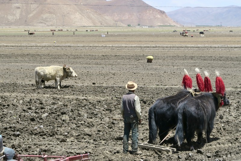 Tibet tours