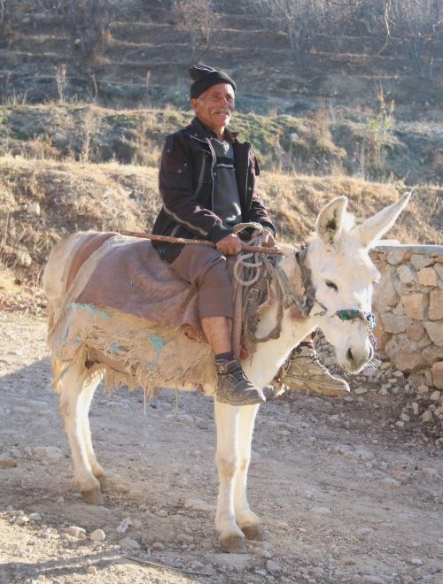 A man on a donkey in Iran