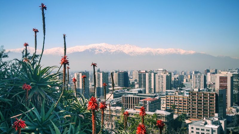 View of Santiago with flowers in the foreground