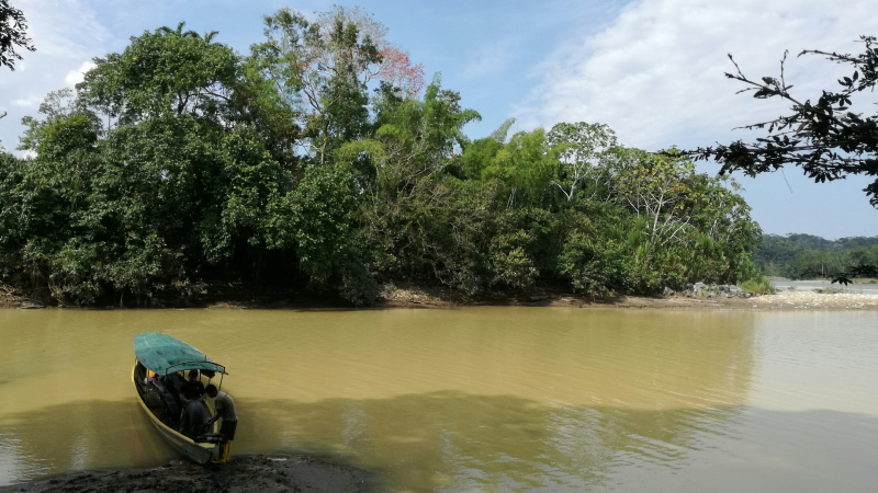 A boat travelling down the Amazon river