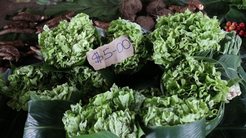 Bunches of lettuce at the market