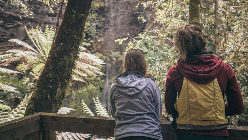 Two women look at some ferns in Tasmania