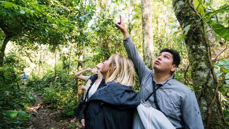 Jungle walkers in the Peruvian Amazon