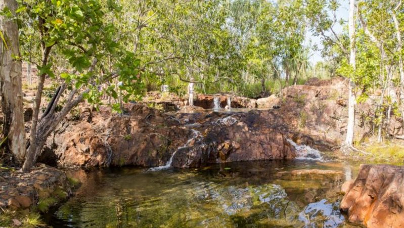 Waterhole in Litchfield National Park