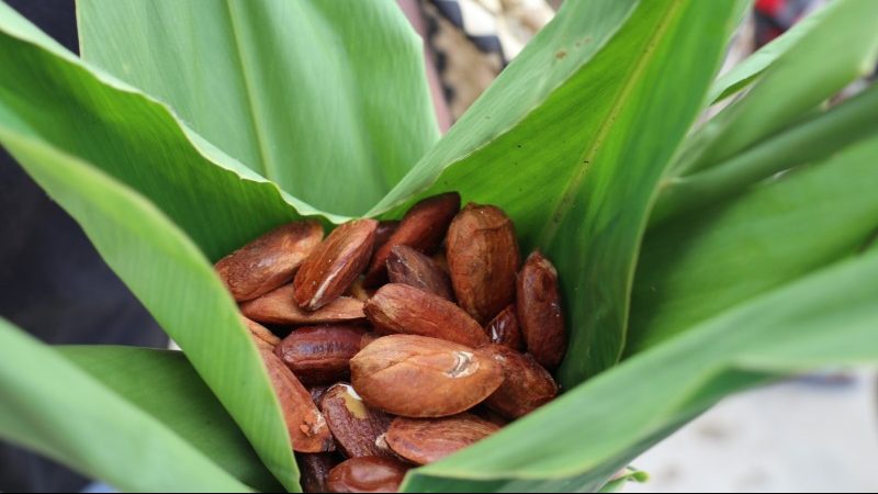 A leaf filled with nuts