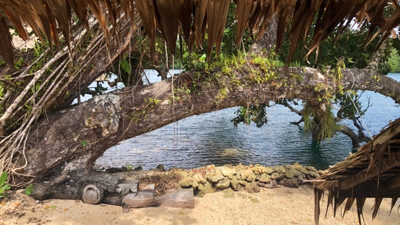 A view of sand and water from an island hut