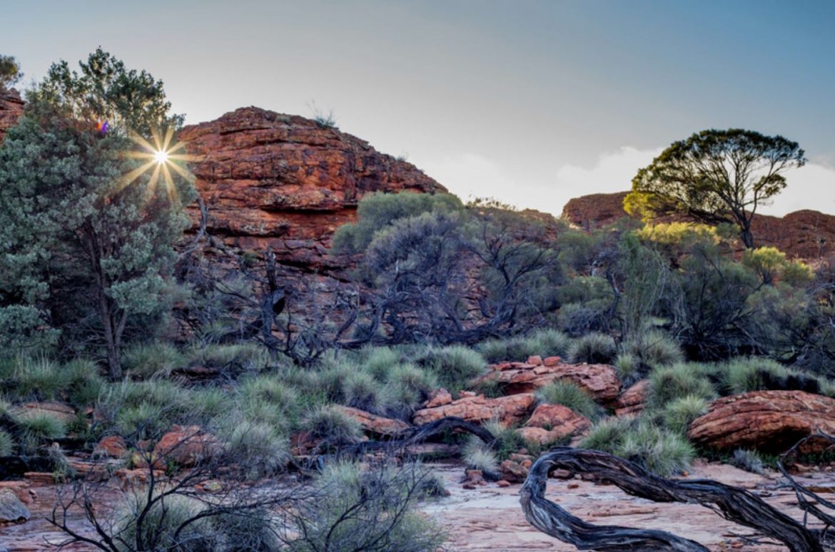 Craggy red rocks at Kings Canyon