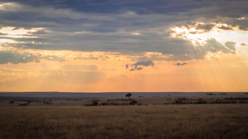 sunset over the masai mara on a Kenya safari