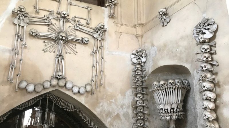 The inside of a church made of bones.