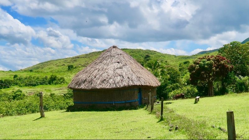 Thatched hut in green field