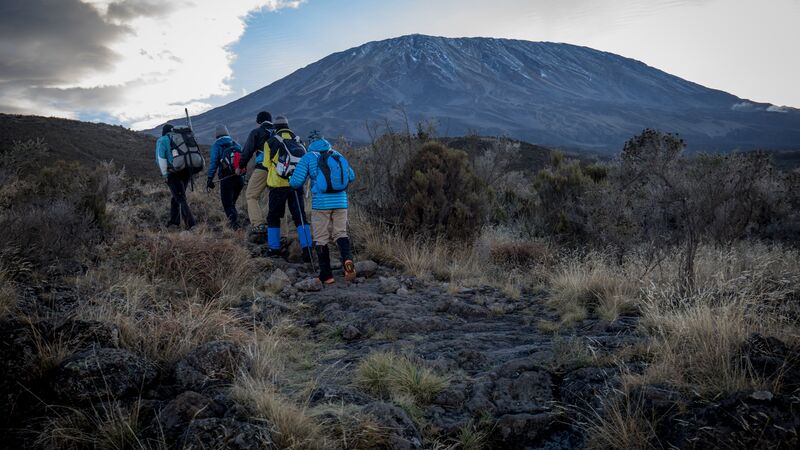 Trekkers on the path to Mt Kilimanjaro