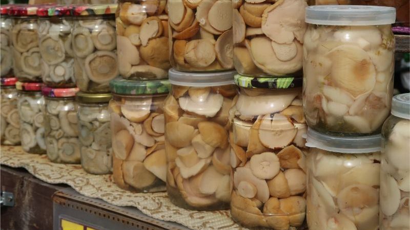 Jars of pickled mushrooms