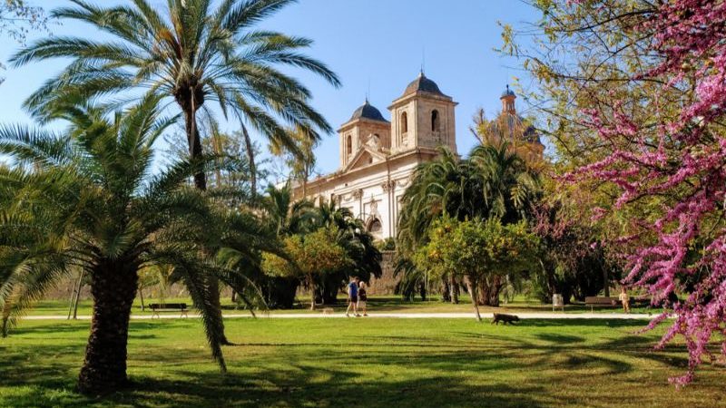 Beautiful gardens in Valencia