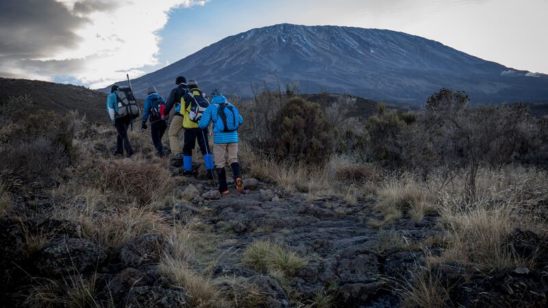 A group of hikers on their way up Mt Kilimanjaro. 