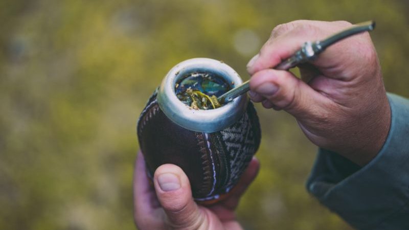 Everything You Need To Know About Yerba Mate