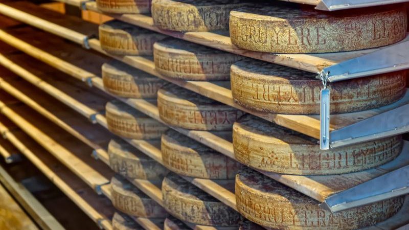 Wheels of cheese in a factory