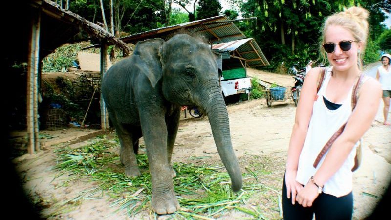 A smiling girl posing with a baby elephant