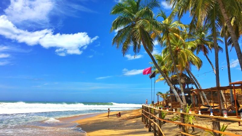 A beach, palm trees and blue sky in Sri Lanka