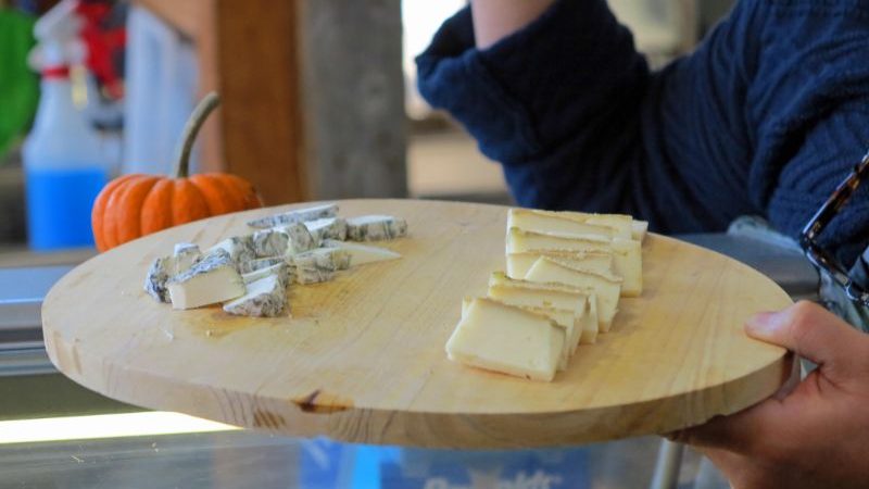 A board of cheese at a market in Montreal