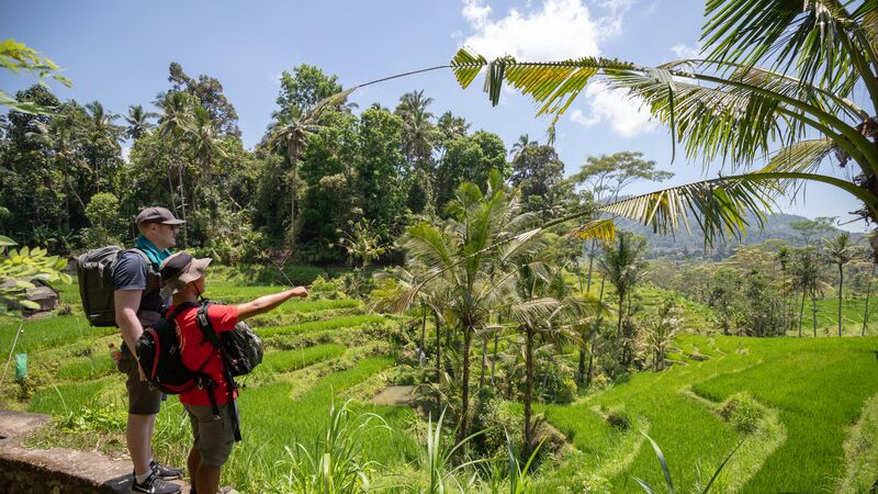 Rice terrace walk in Sideman, Bali