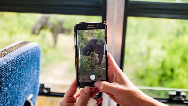 Someone holding a mobile phone taking a photo of an elephant.