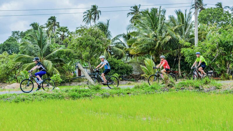 Cyclists riding past a green rice paddy in Sri Lanka