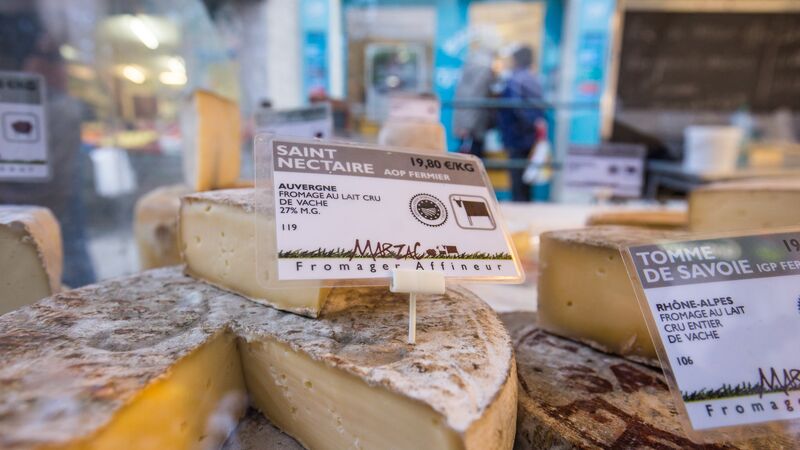 Cheese for sale at a market