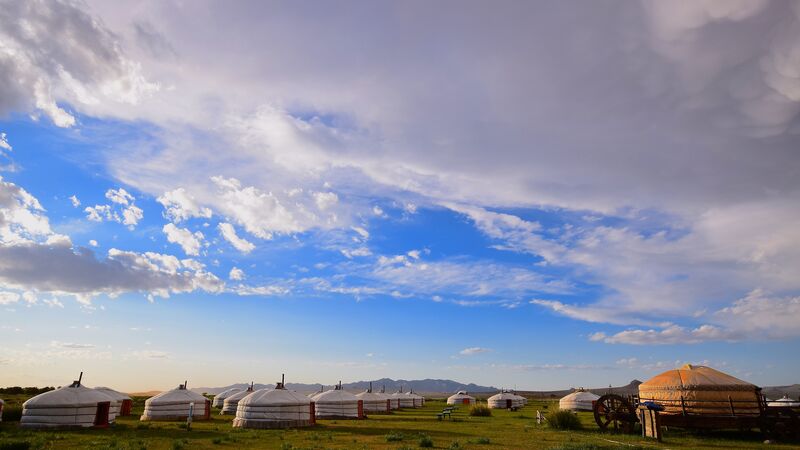 Yurts in a field in Mongolia