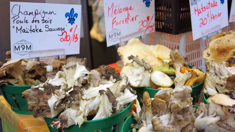Fresh mushrooms at a market in Canada