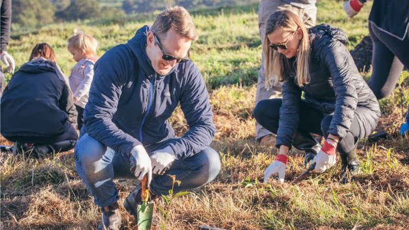 People planting trees