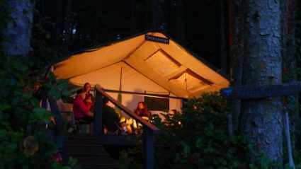 wildlife tourism website wildlife tourism website