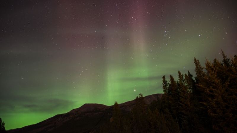 The Northern Lights in the Banff night sky.