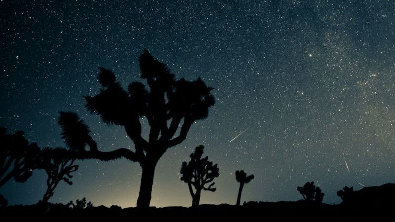 A meteor shower above Joshua