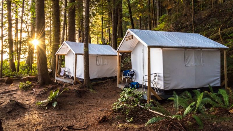 Two glamping tents in a forest in Canada