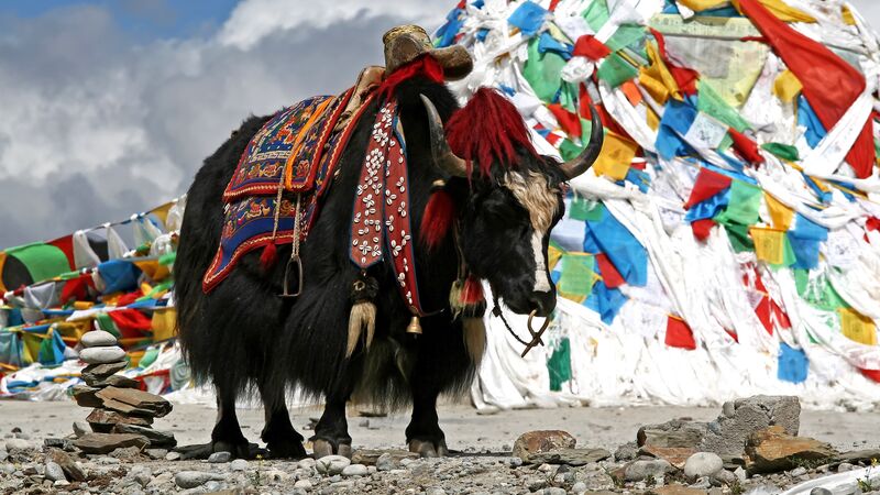 Country bhutan Bhutan Tourism