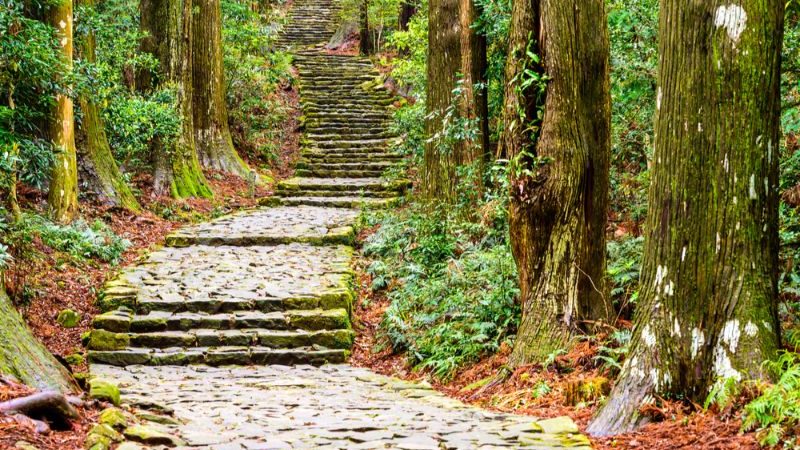 The Kumano-Kodo trek, Japan