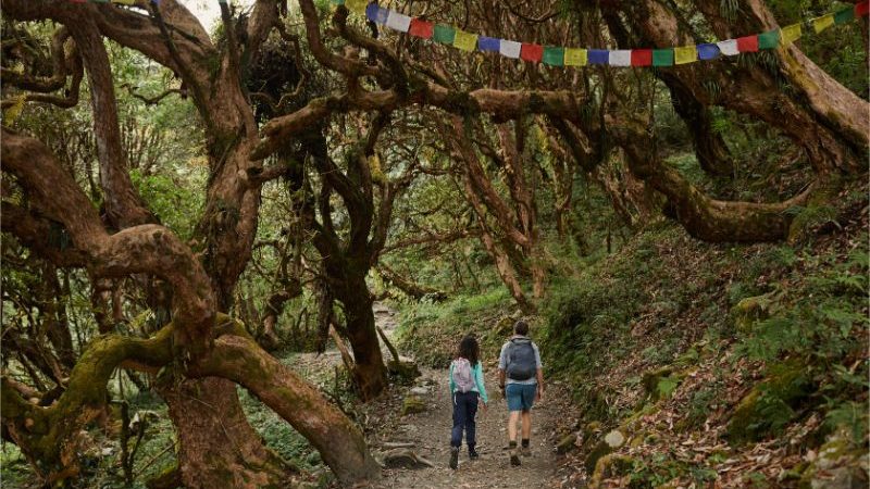 Two hikers walking through a forest beneath prayer flags