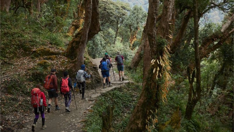 Hikers walking through a forest in Nepal