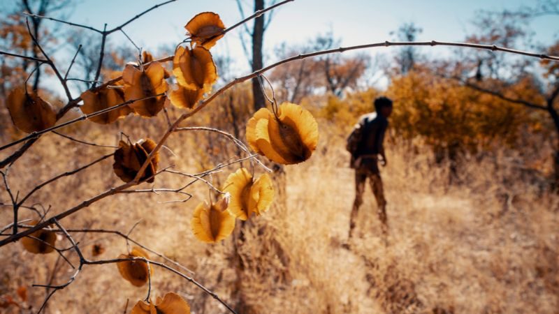 A man walks through the bush in Namibia