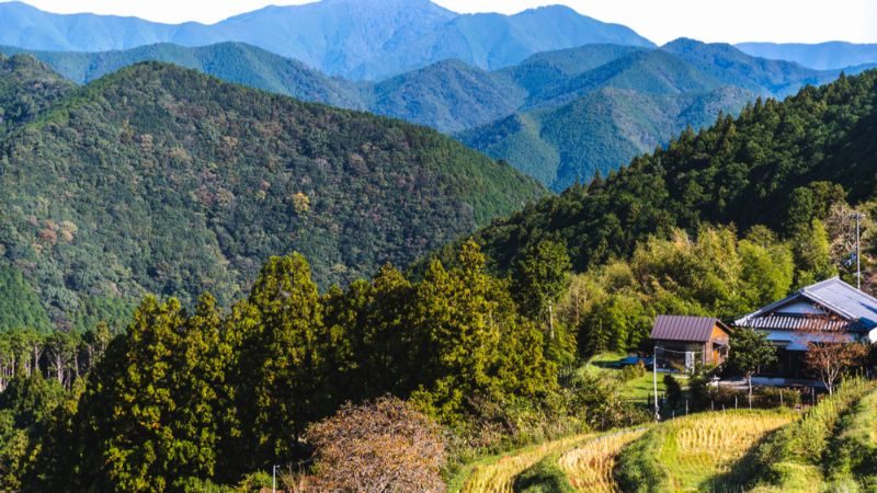 Farmland in Japan near the Kumano Kodo trail