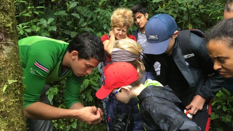 A group of kids looking at a bug in the jungle