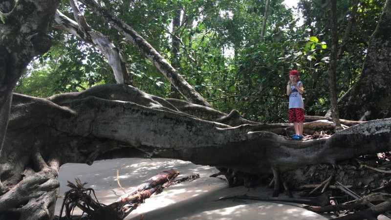 A boy standing on a log on the beach