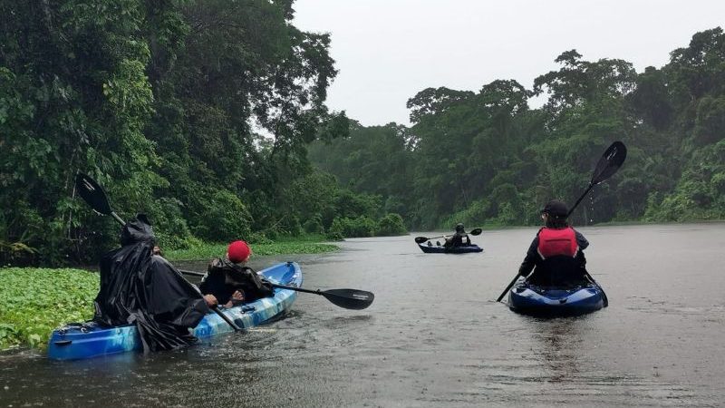 A group of people kayaking in the rain