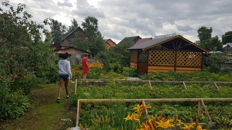 Two people walking through a garden