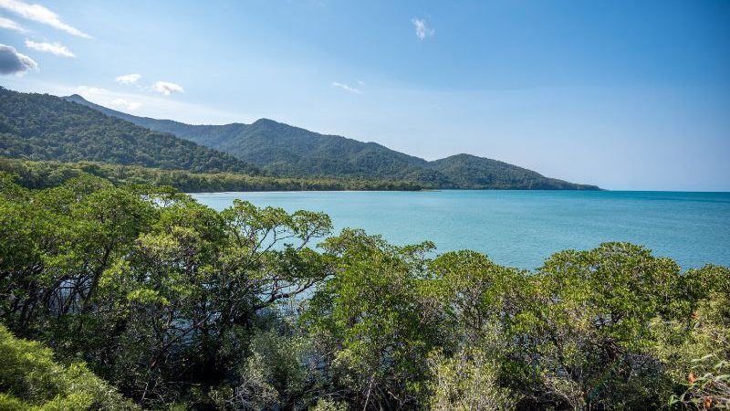 Cape Tribulation