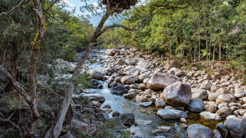 Mossman Gorge